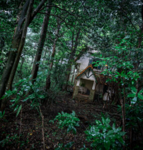 Exploring the Abandoned Royal House in Kanto, Japan - A Hauntingly Beautiful Scene.