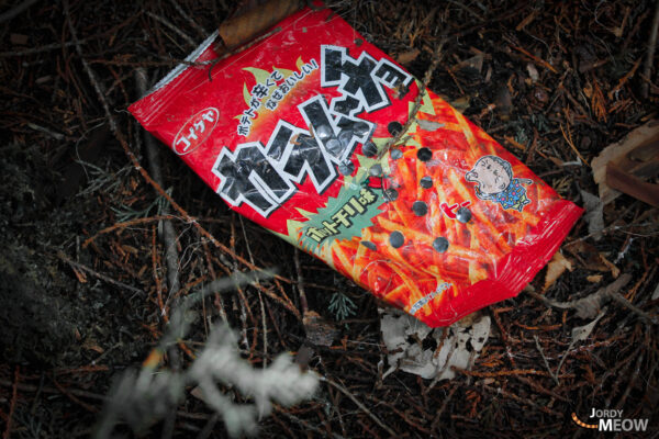 Red snack package in mysterious Aokigahara Forest, Japan, surrounded by fallen leaves and branches.