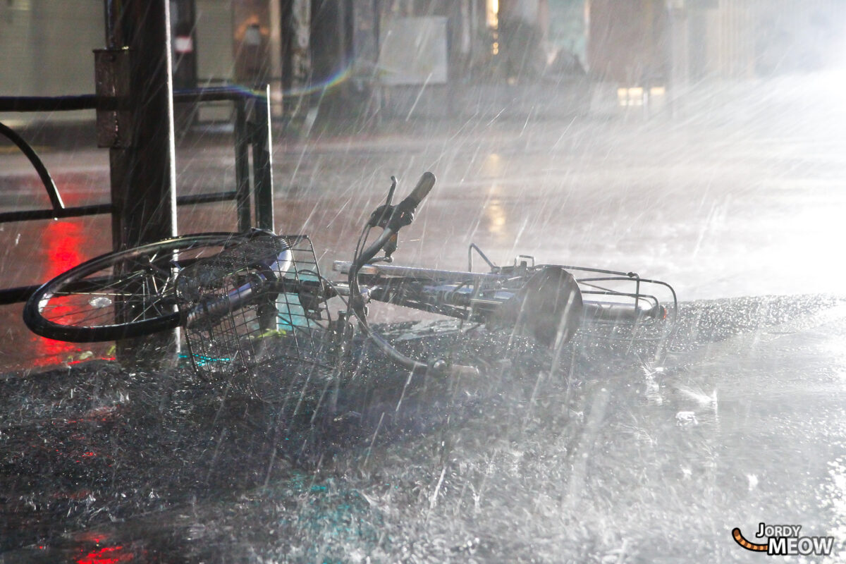 Typhoon - Bike