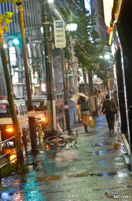 Typhoon - Street