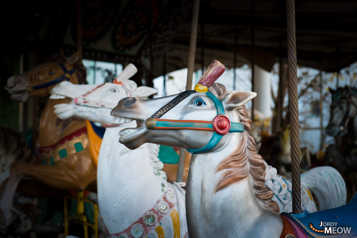 Nara Dreamland - Horses