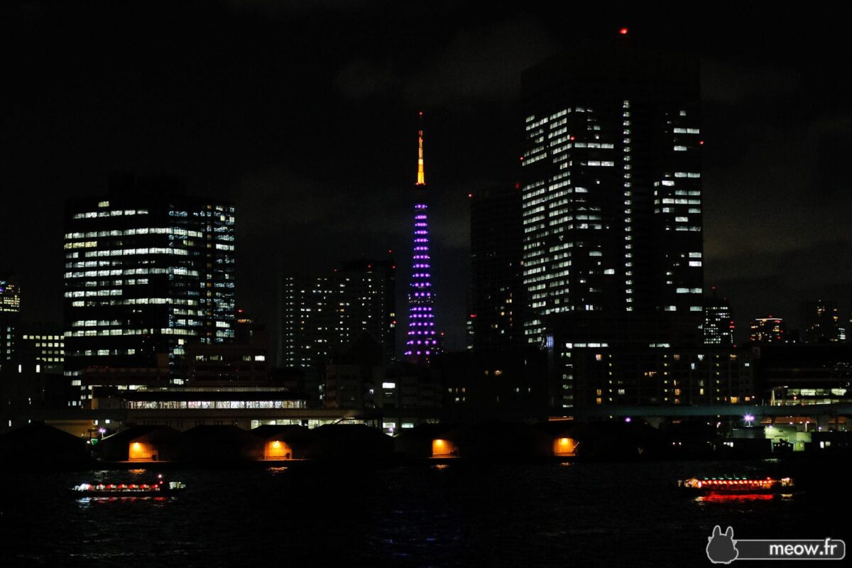 Tokyo Tower Night - Tokyo Bay