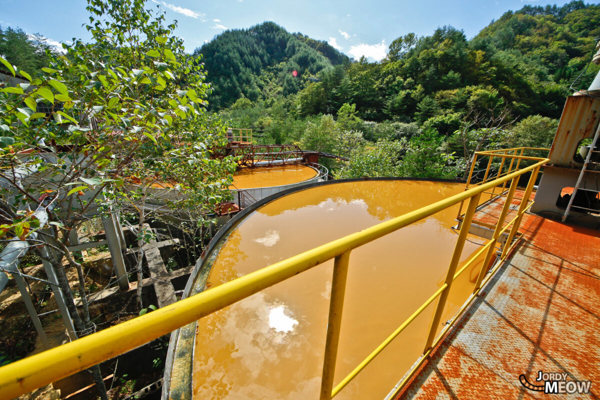 Tohoku Mine - Orange Tubs