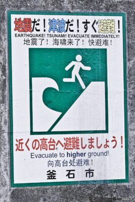 Tōhoku Tsunami - Tsunami