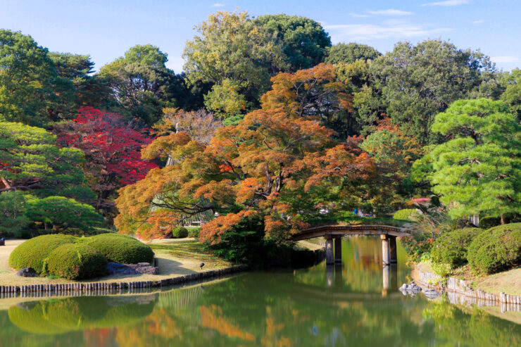 Tranquil autumn beauty in Japanese garden with vibrant foliage surrounding serene pond.