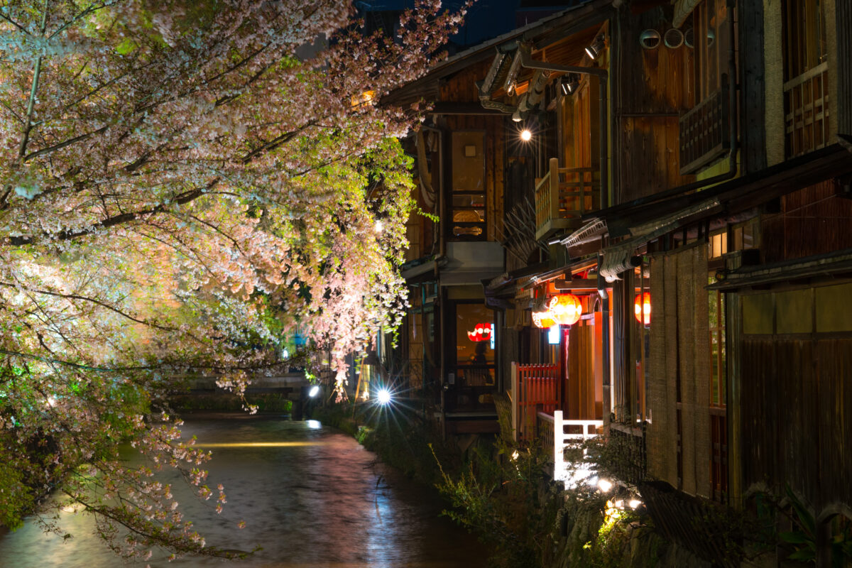 Sakura at the Yoshinoyama Village