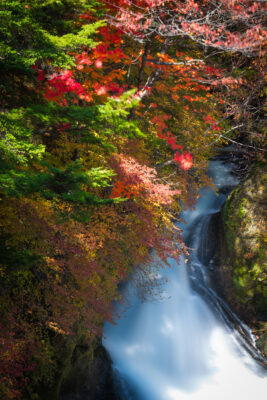 Ryuzu Falls Foliage