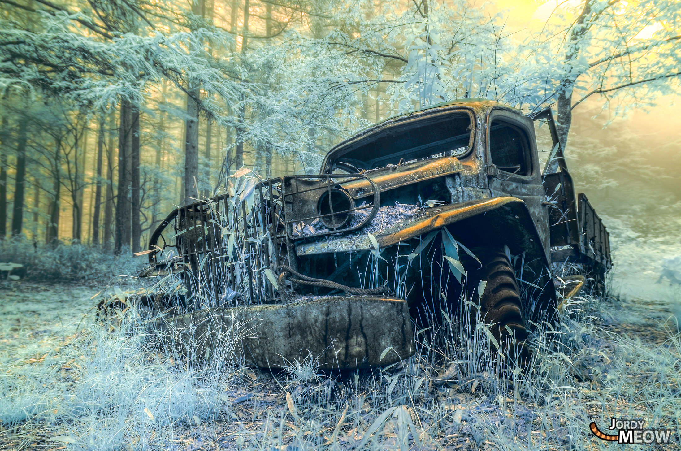 Abandoned Dodge car in mystical forest, frozen in time, nature reclaiming its space.