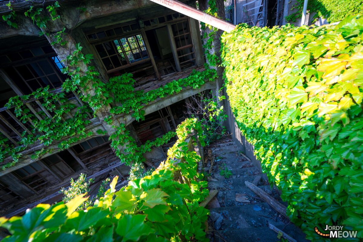Abandoned and Covered with Vines