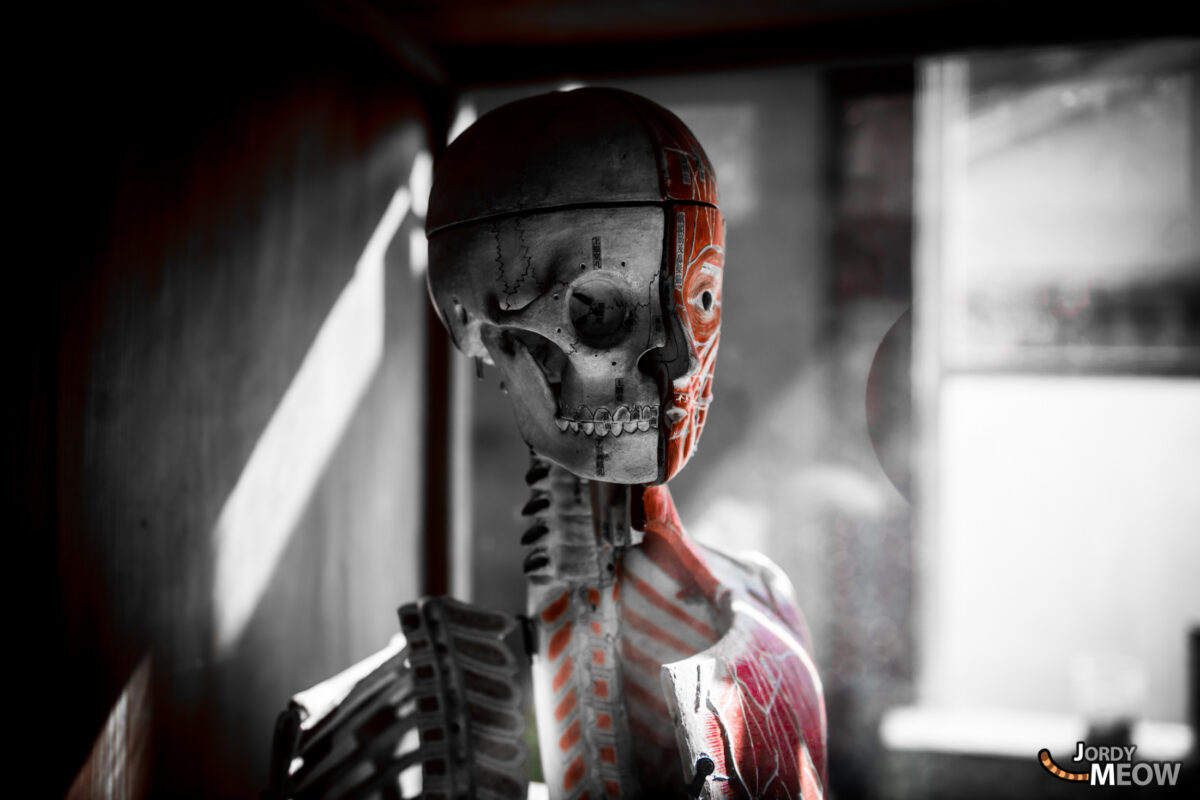 Abandoned Human Skeleton