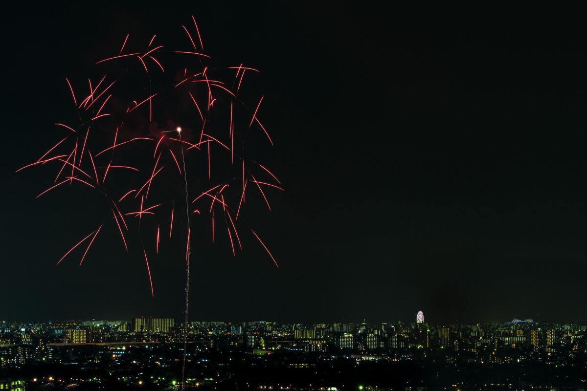 Edogawa Fireworks #8