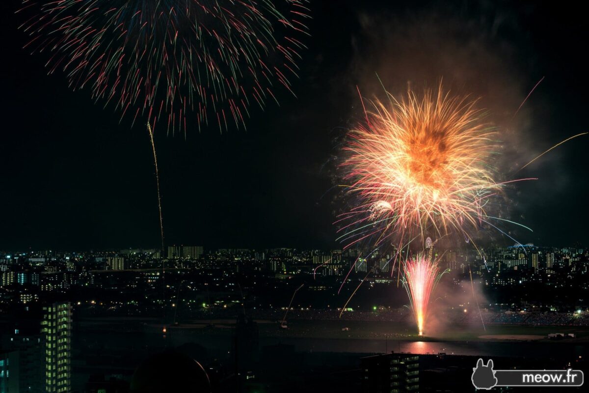 Edogawa Fireworks #9