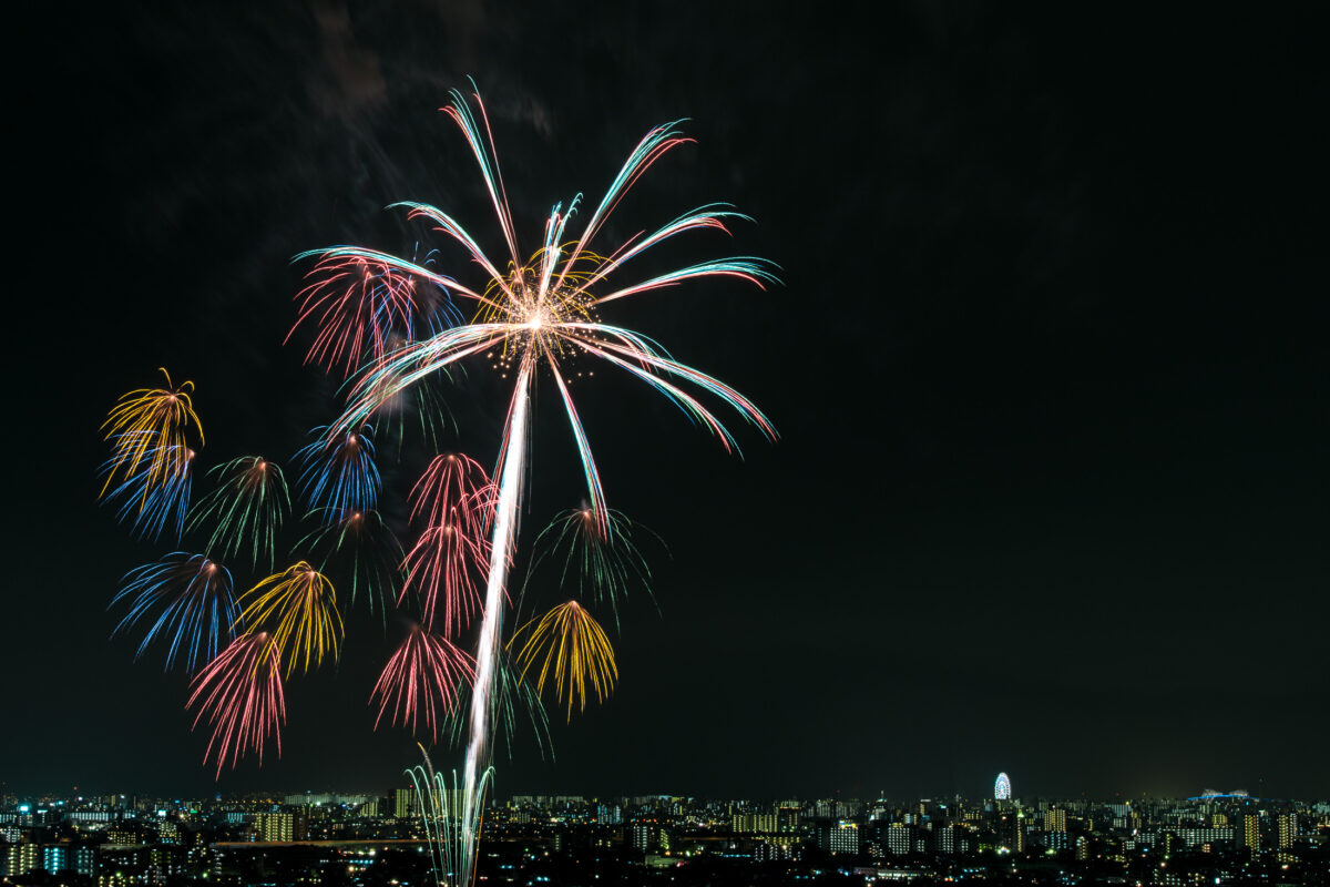 Edogawa Fireworks #10