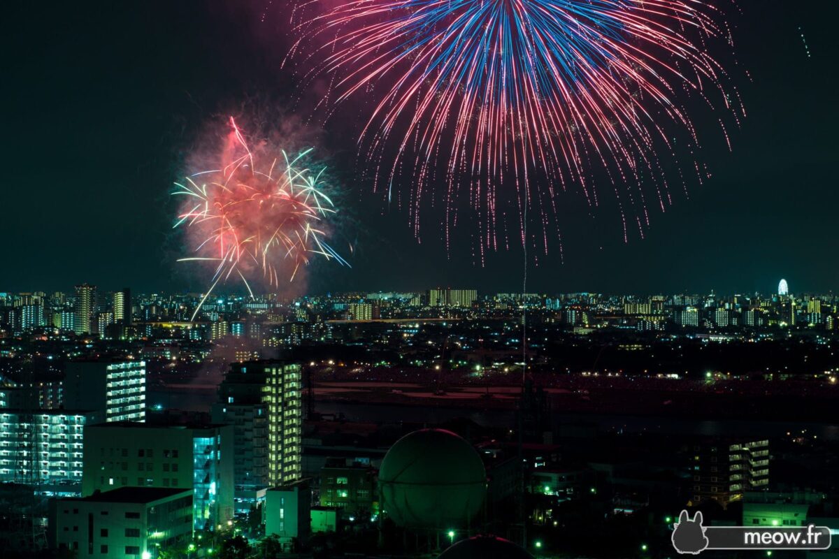 Edogawa Fireworks #17