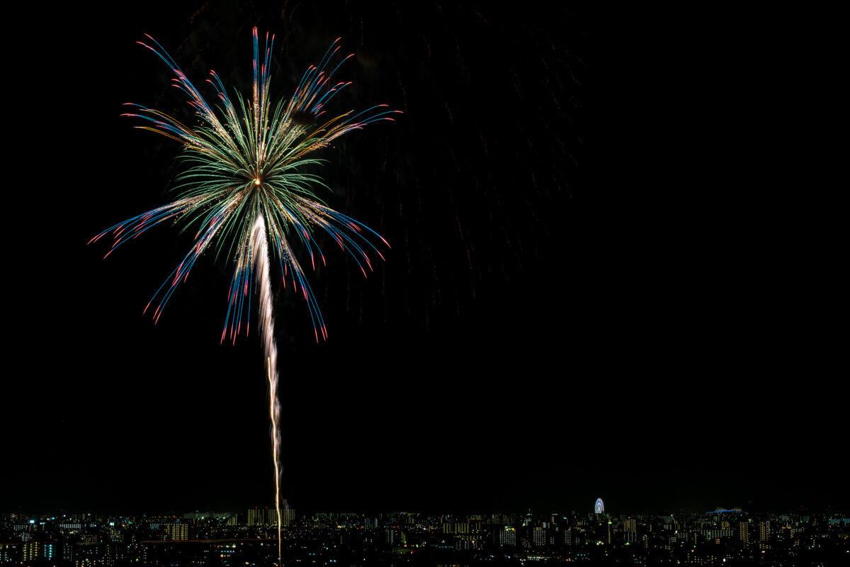 Edogawa Fireworks #3