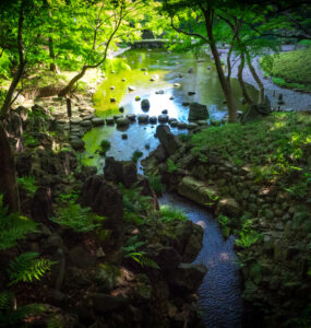 Serene beauty of Koishikawa Kōrakuen Garden in Tokyo, Japan: lush landscape with tranquil pond.