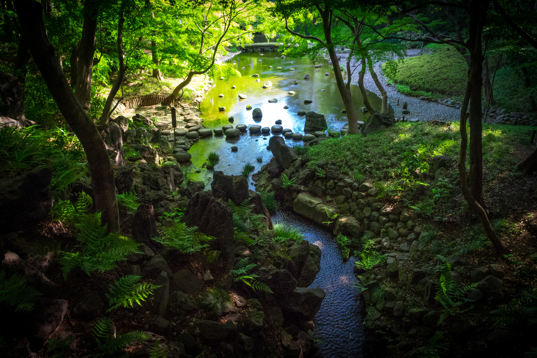 Serene beauty of Koishikawa Kōrakuen Garden in Tokyo, Japan: lush landscape with tranquil pond.