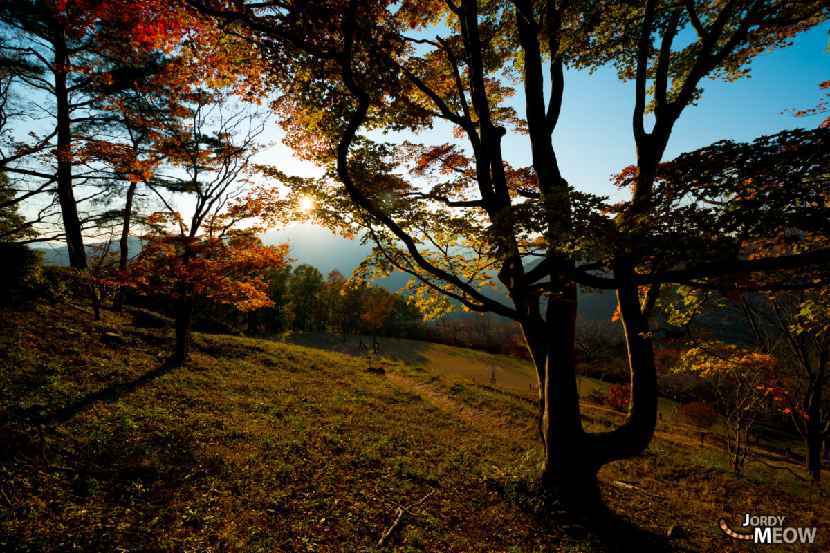 Autumn Sunset in Sakurayama
