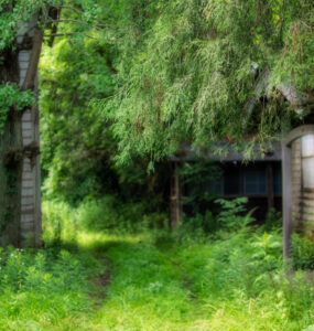 Decaying Japanese Hospital in Kanto: Urban Exploration Relic Amidst Natures Reclaiming.