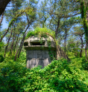 Tranquil scene of nature reclaiming historic structure at Futtsu Park in Japan.