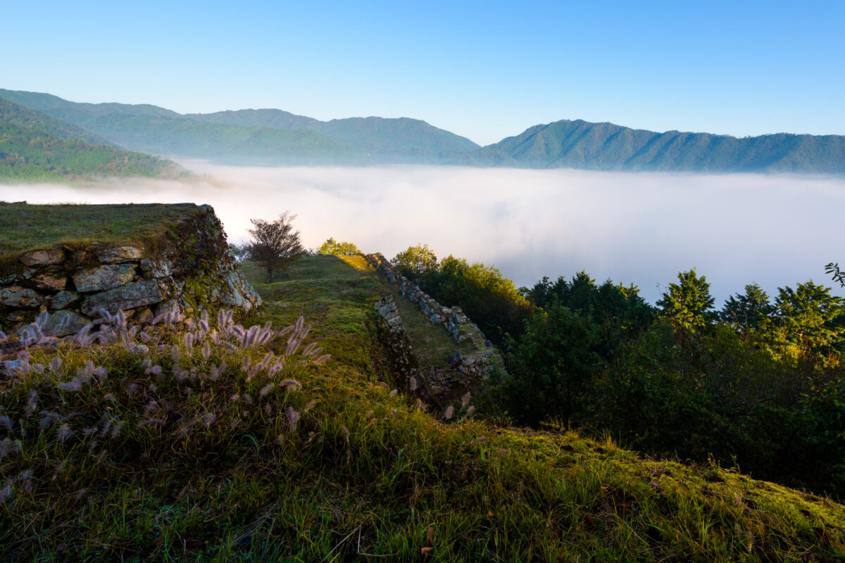 castle, hyogo, japan, japanese, kansai, natural, nature, sky, sunrise