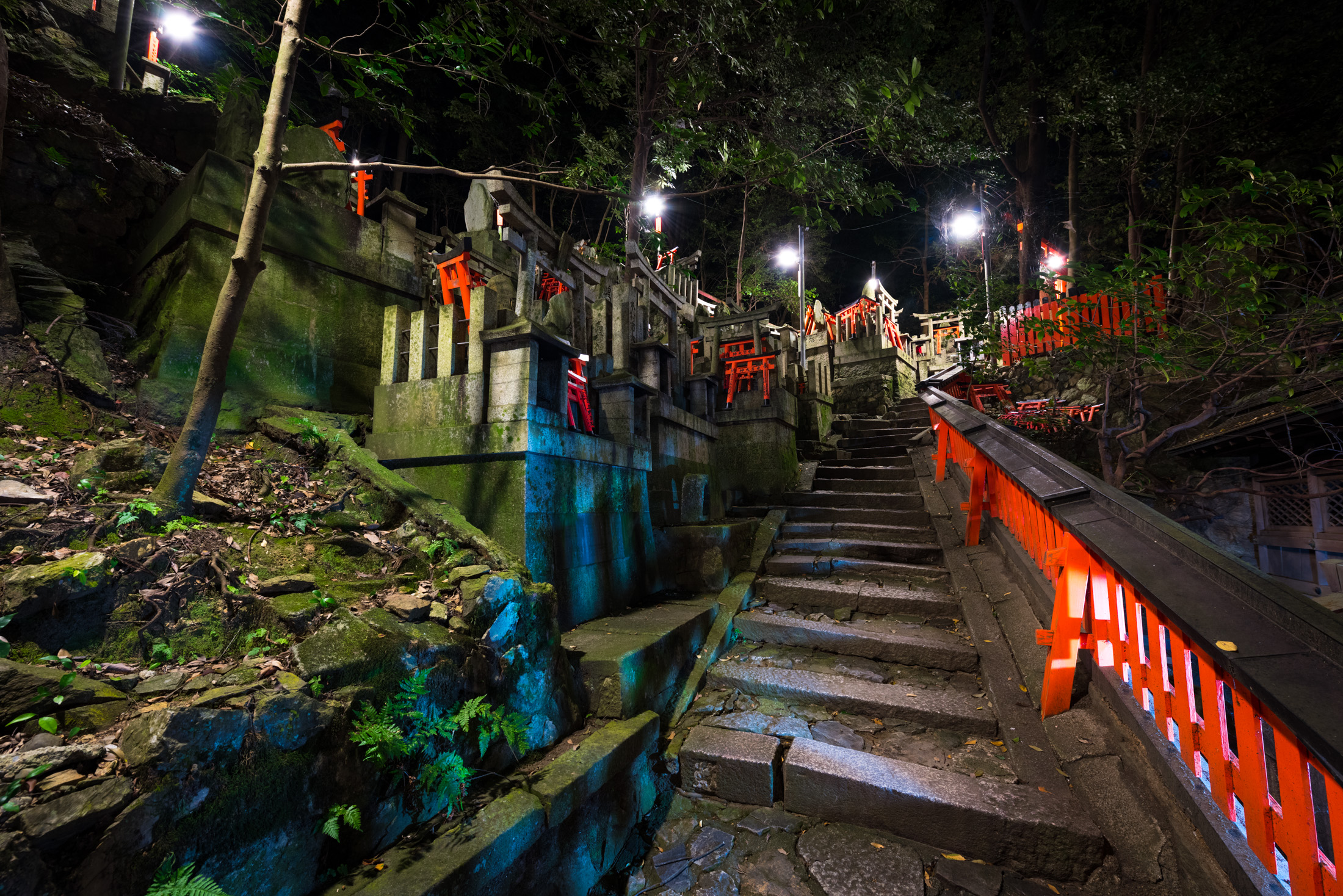 Exploring Fushimi Inaris Enchanting Torii Gates in Kyoto, Japan.