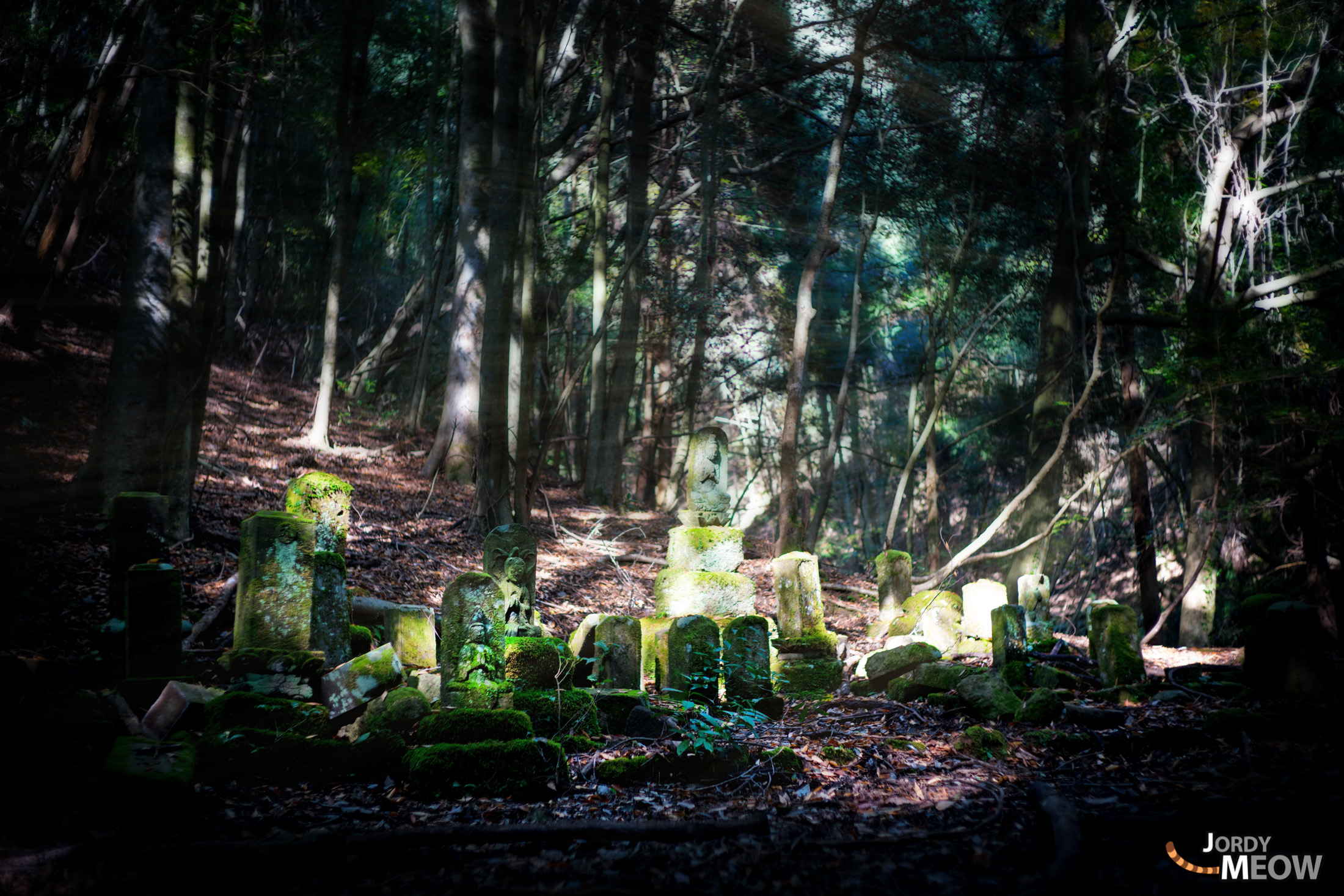 asia, cemetery, chiba, forest, japan, japanese, kanto, natural, nature