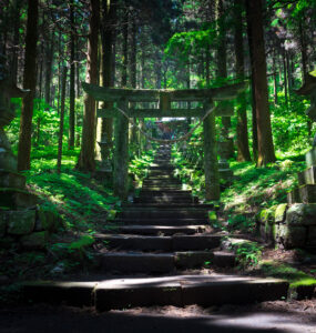 Tranquil Shinto shrine nestled in lush forest with stone steps and wooden torii gate.