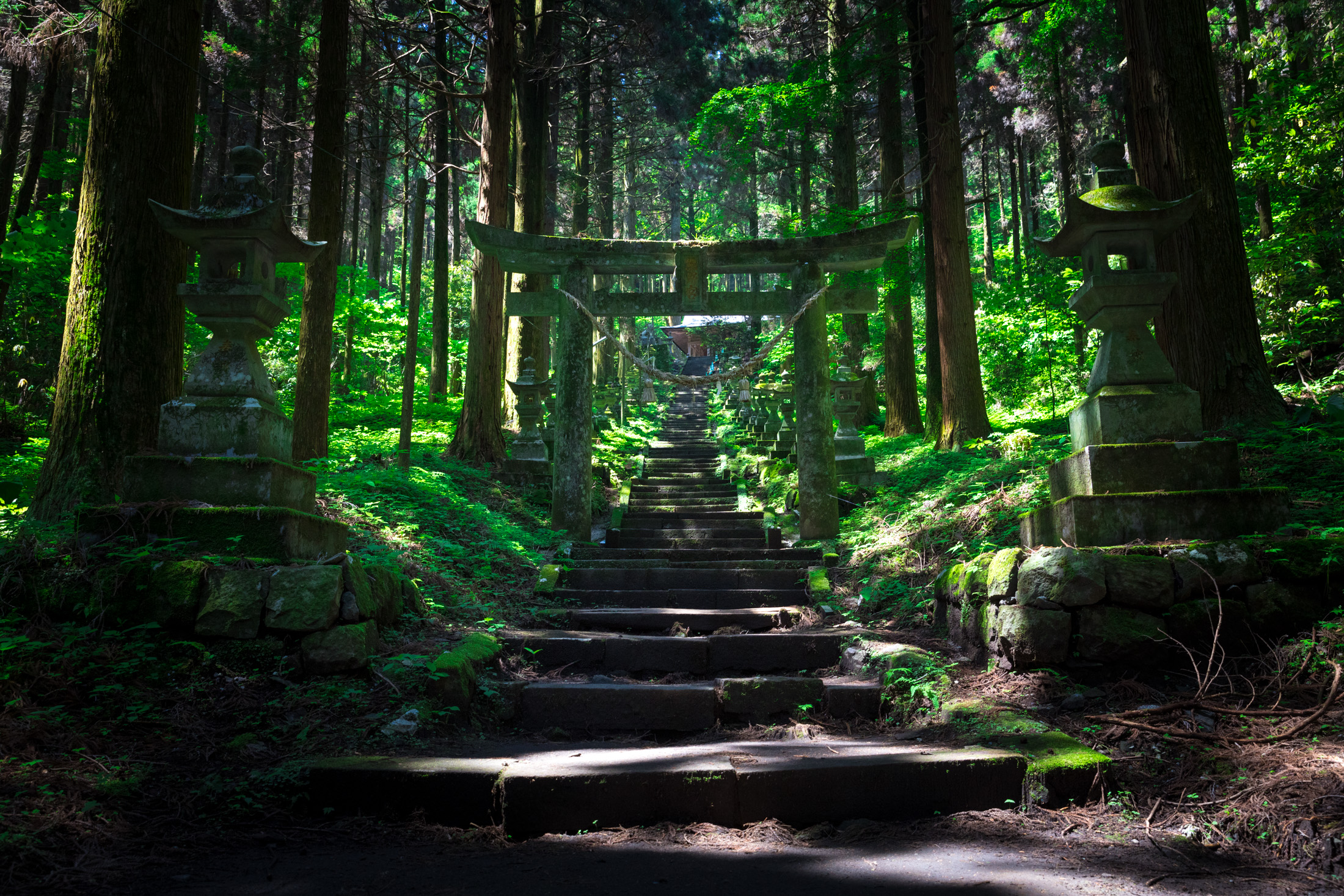 Tranquil Shinto shrine nestled in lush forest with stone steps and wooden torii gate.