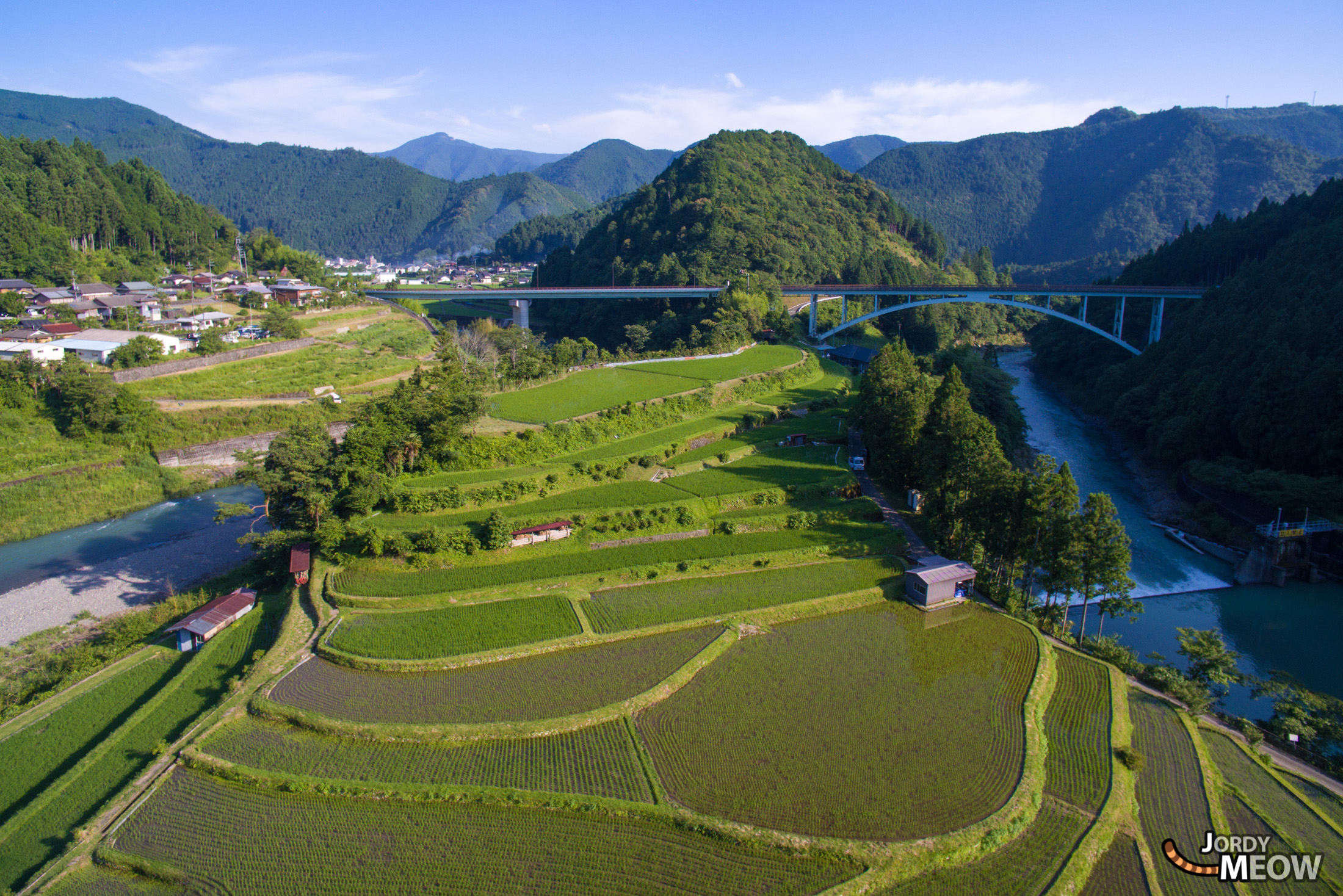 drink, drone, food, japan, japanese, kansai, natural, nature, rice, ricefield, wakayama