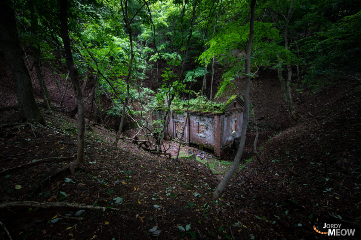 abandoned, haikyo, house, japan, japanese, kanto, nikko, ruin, tochigi, urban exploration, urbex