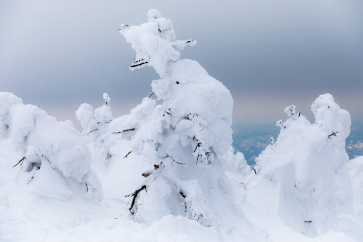 Enchanted Snowy Monsters in Zaos Wintry Landscape
