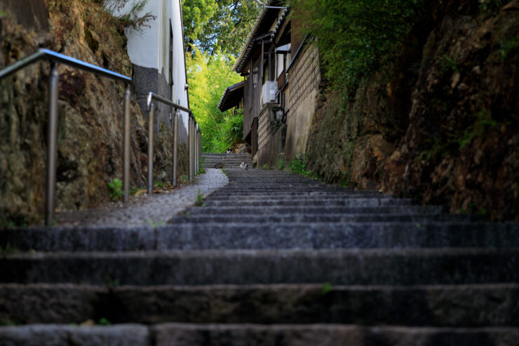 Tomonouras historic stone steps, quaint wooden houses