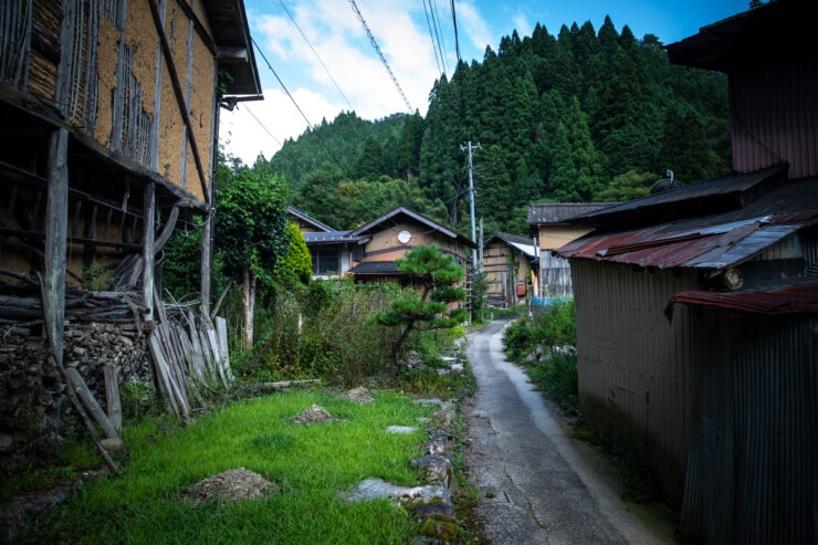 Traditional Japanese village path amidst nature