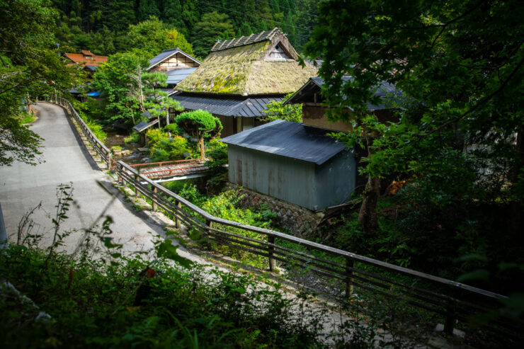 Traditional thatched-roof Japanese village amidst nature.