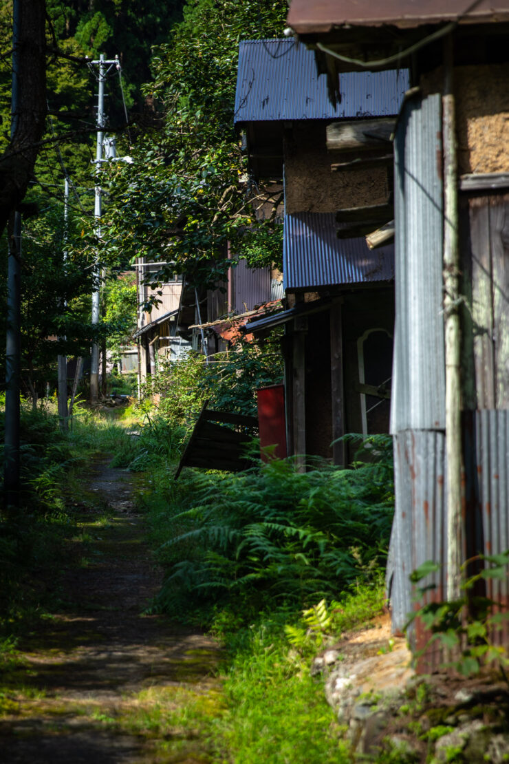 Serene green alleyway, tranquil small-town paradise.