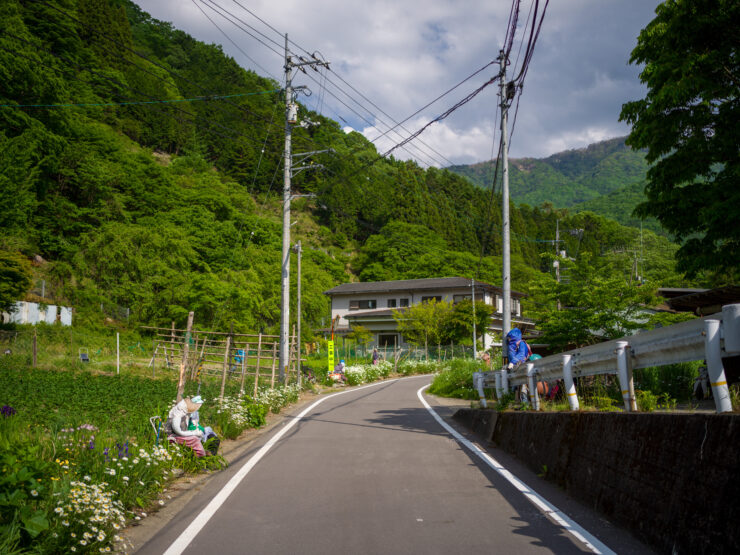 Serene rural road in Nagoro Village, Japan