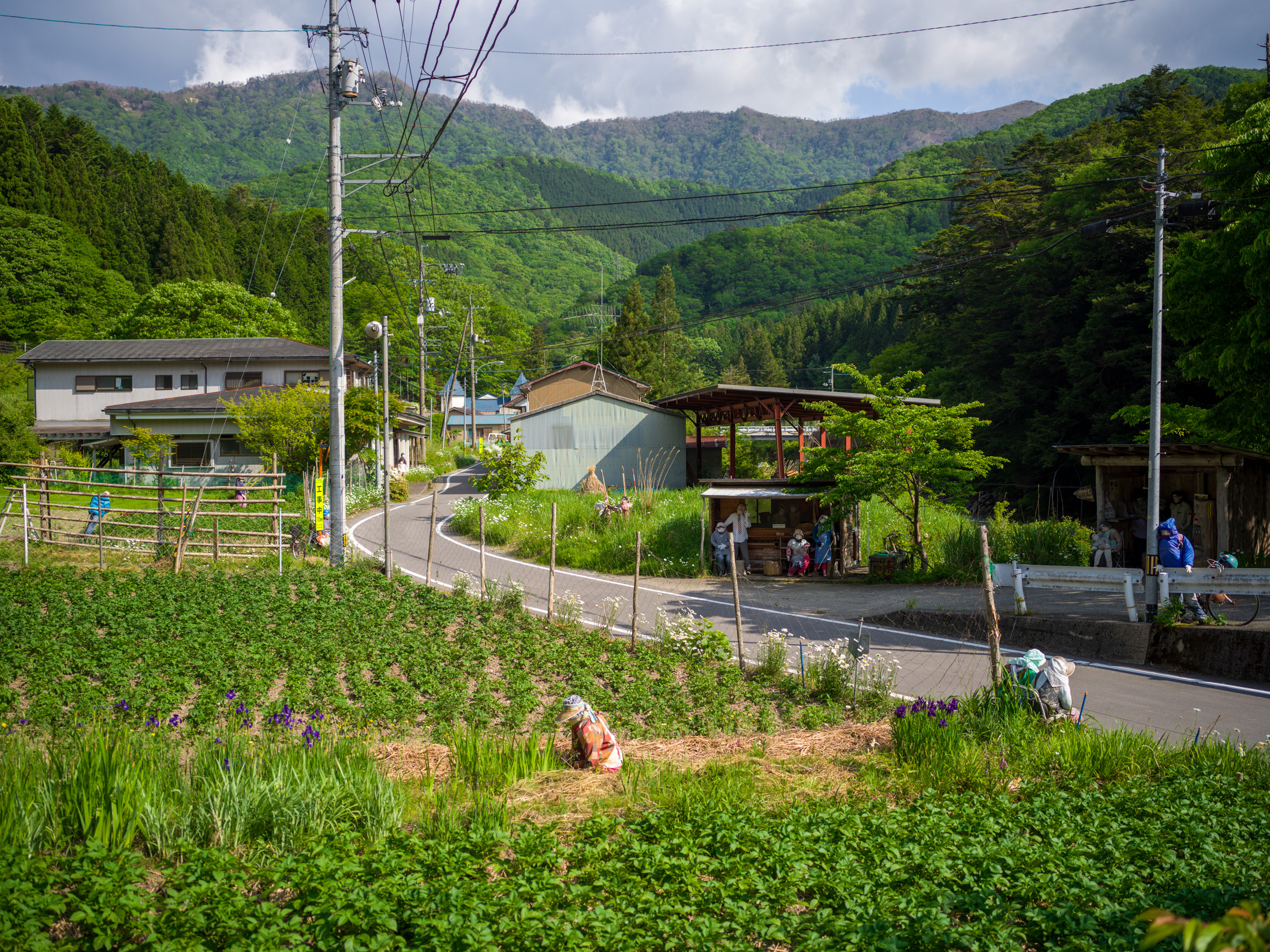 Rural Japans Hidden Gem: Nagoro Village