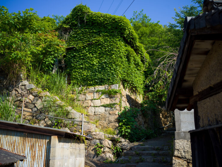Idyllic Shishijima Island Nature Trail Stairway