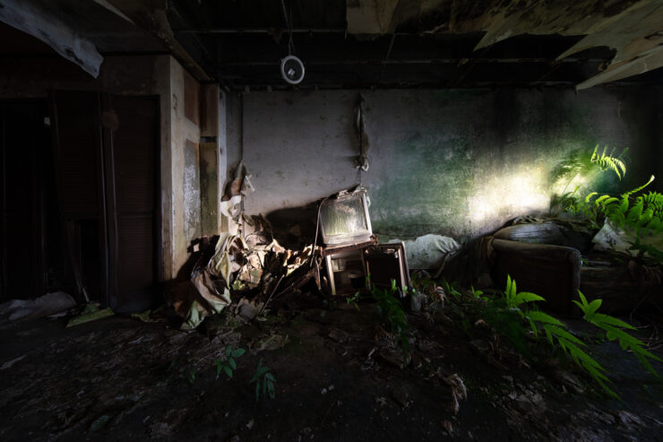 Abandoned Hachijo Hotel Interior Overtaken by Nature