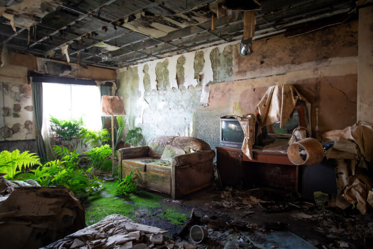 Decrepit room in abandoned Hachijo Royal Hotel, showcasing decay and nature reclaiming opulent space.
