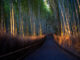 Serene Bamboo Pathway in Arashiyama, Kyoto, Japan