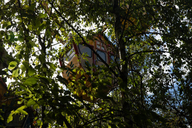 Abandoned Enchanted Fantasy Treehouse in Theme Park