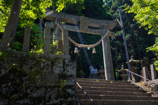 Tranquil Shinto sanctuary, verdant forest setting