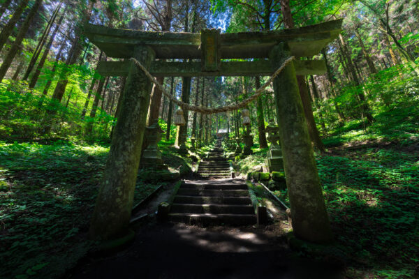 Tranquil Kamishikimi Shrine in Serene Forest Setting with Majestic Torii Gate.