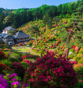 Vibrant autumn garden at Shiofunekannon-ji Temple, Japan