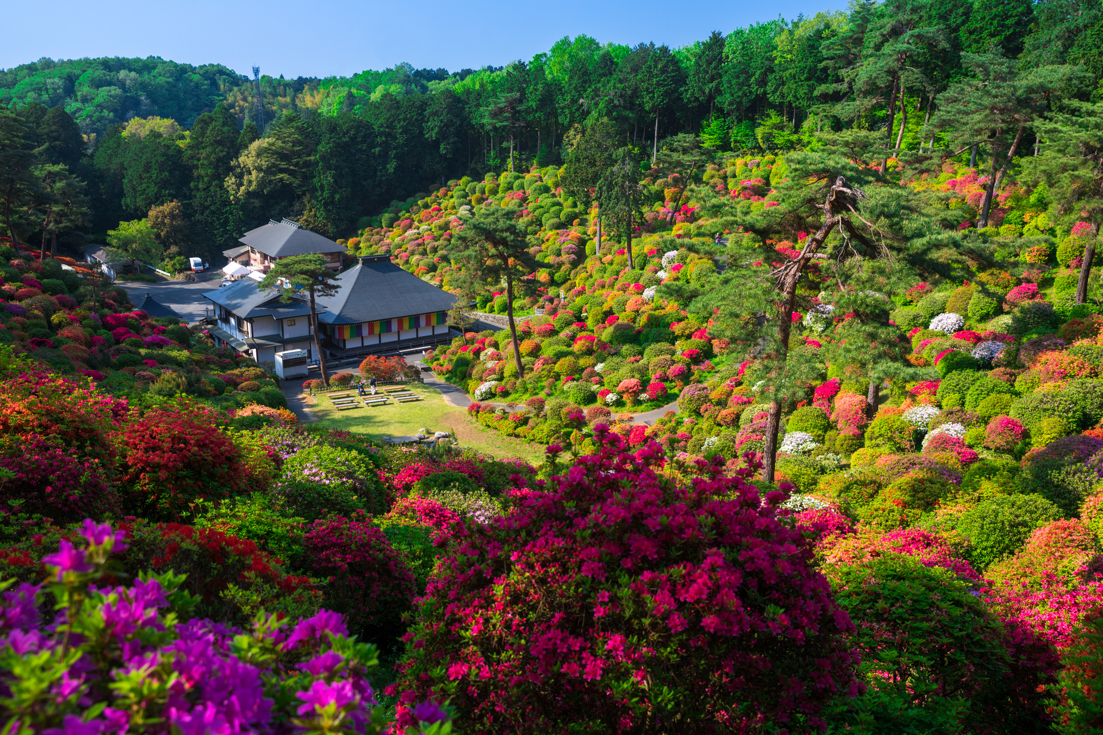 Vibrant autumn garden at Shiofunekannon-ji Temple, Japan