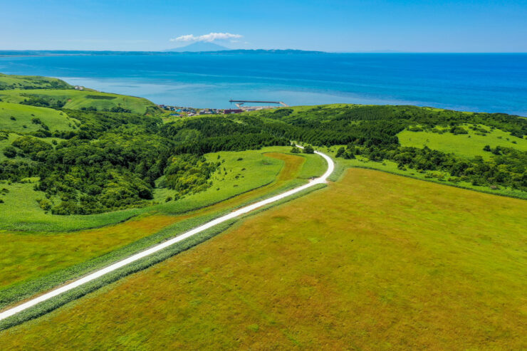 Scenic winding road through lush green hills overlooking ocean