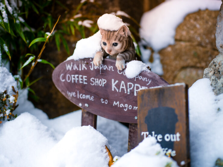Adorable cat guards coffee shop in snowy Magome village.