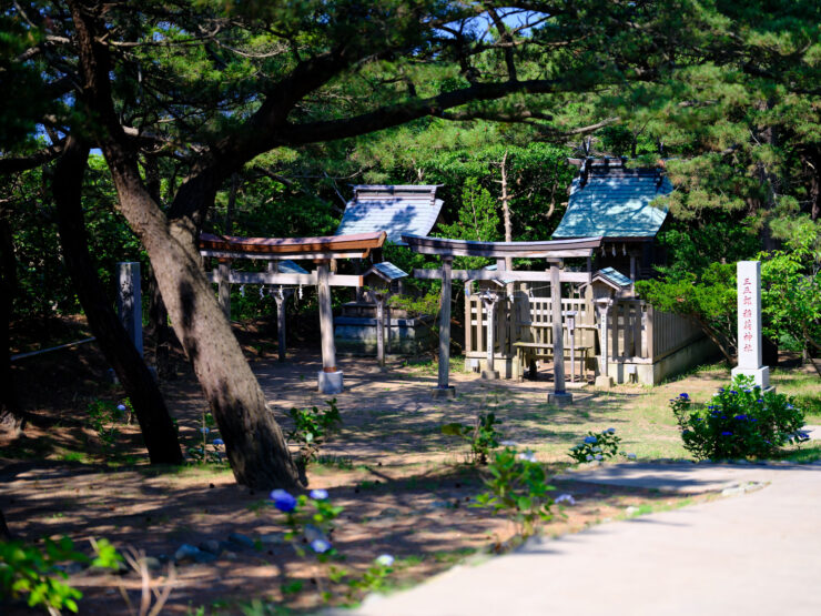 Iconic Torii Gates at Serene Takayama Inari Shrine